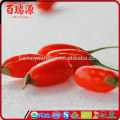 Goji lycium barbarum donde obtener bayas de goji extracto de goji